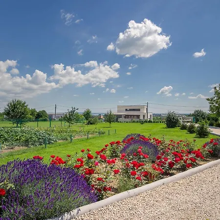 Auf Grossem Gartengrundstueck By Interhome 切尔塞格托毛伊